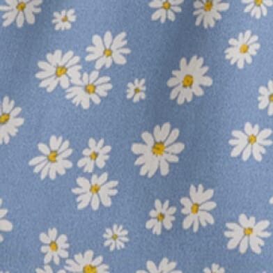 Chambray