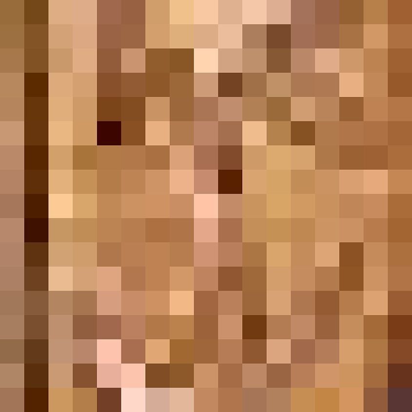 Windsor Tan