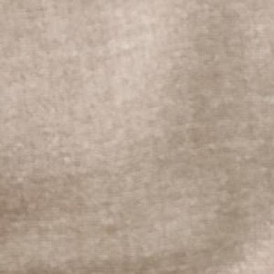 Desert Taupe Birch