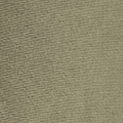 Olive Night