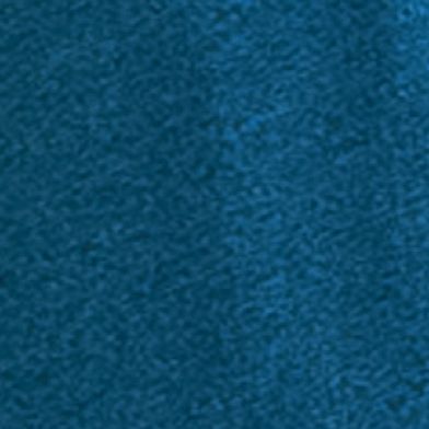 Indigo Bunting