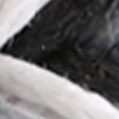 Grey White Black