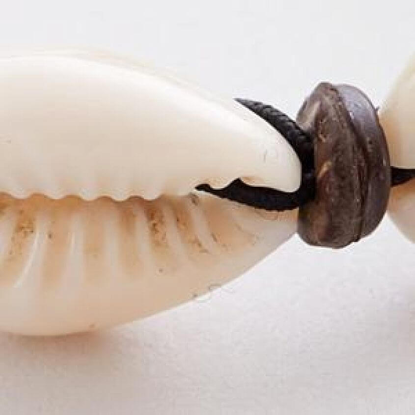 Shell