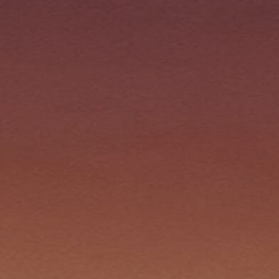 Tortoise Brown