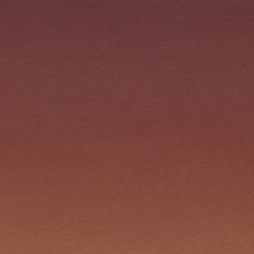 Tortoise Brown