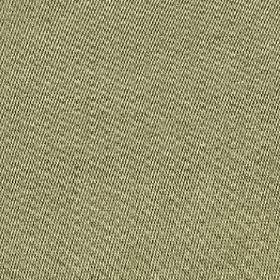 Deep Lichen Green