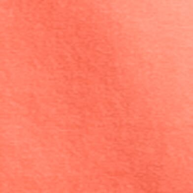 Bright Salmon