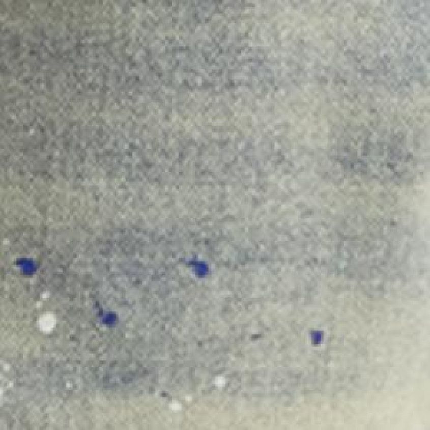 Light Stone Tint
