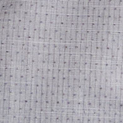 White Navy