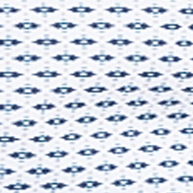 White Blue Coral