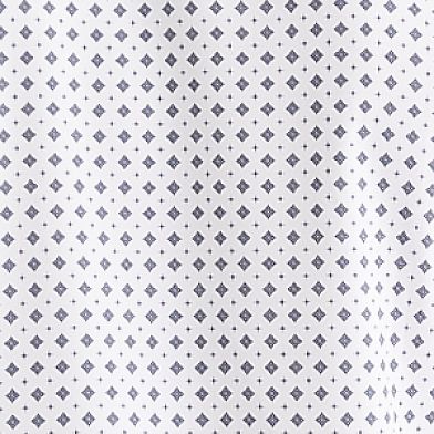 White Navy