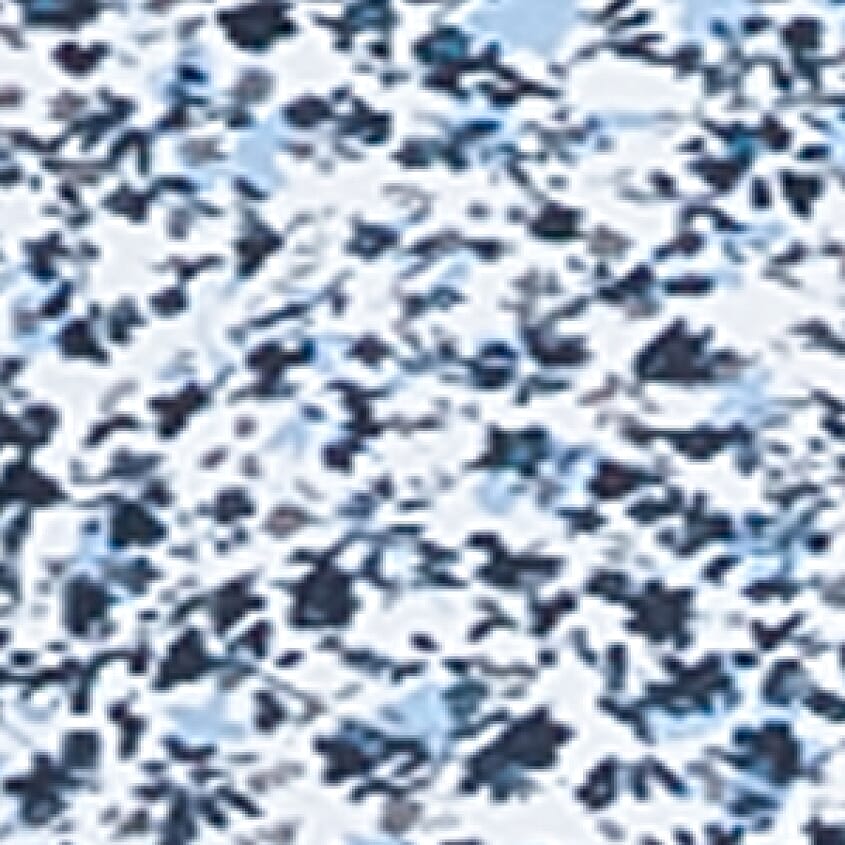 White Blue