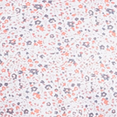White Coral