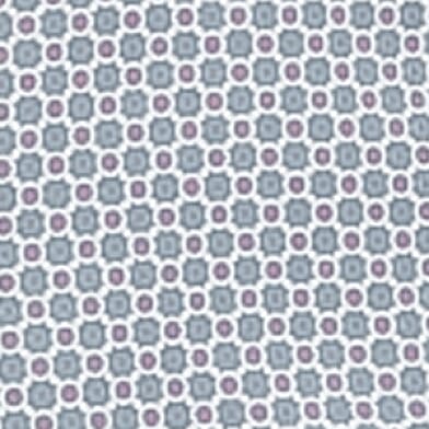 Blue Coral