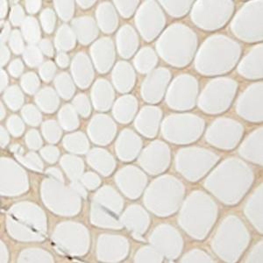 White Snake