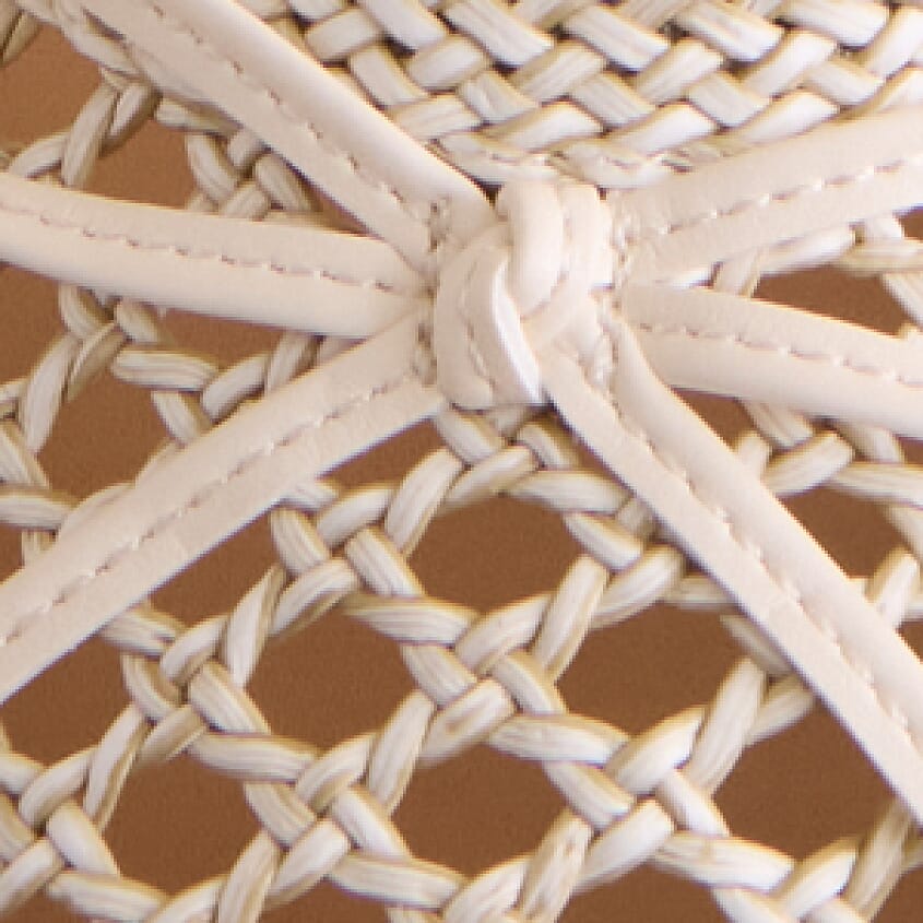 Bone