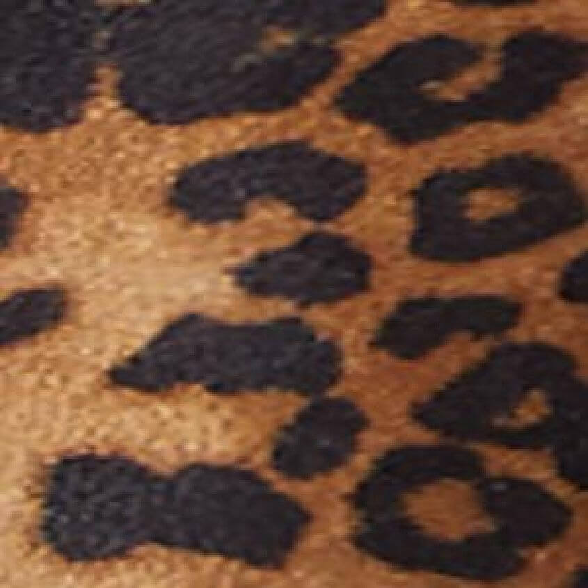 Leopard Black