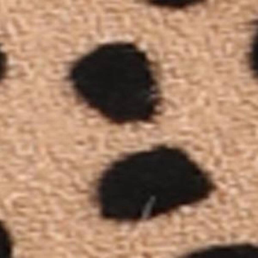 Natural Cheetah