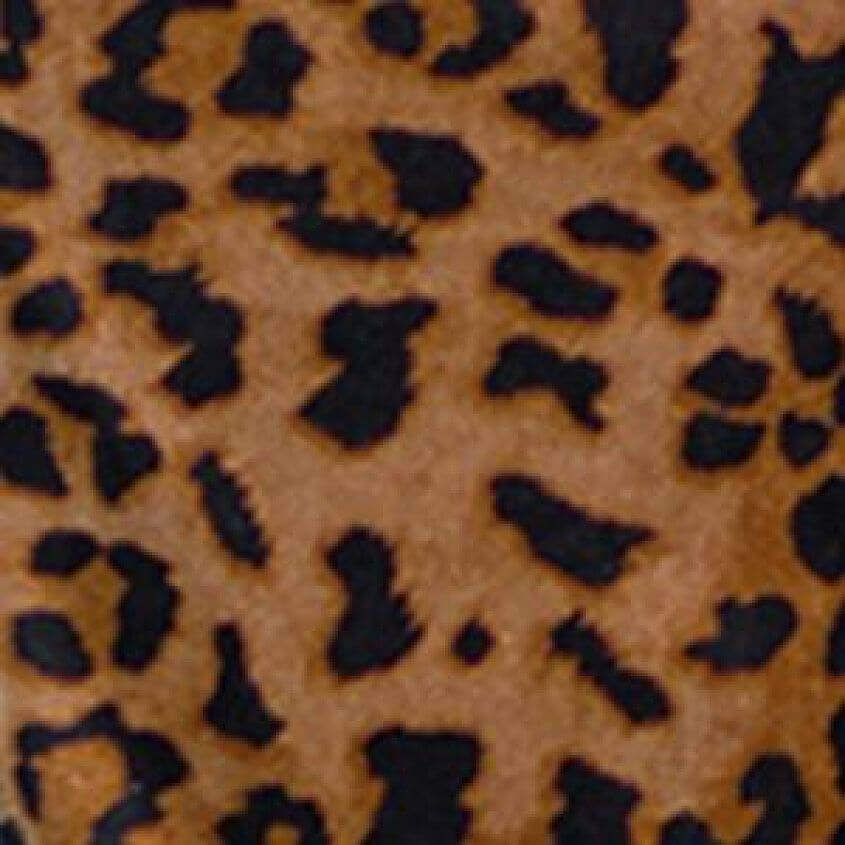 Camel Leopard