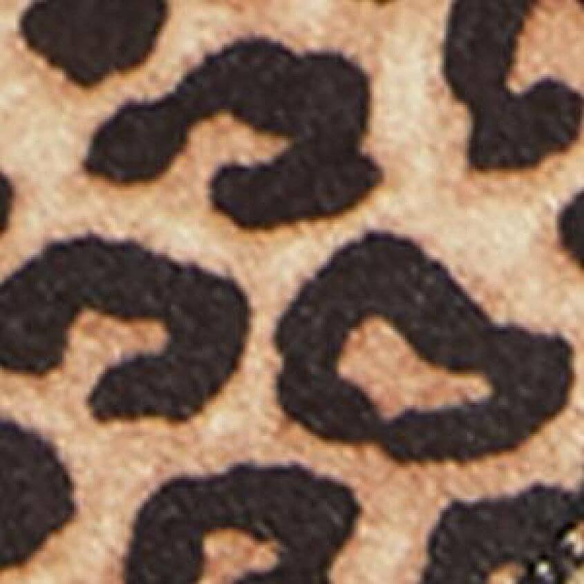 Oat Cheetah