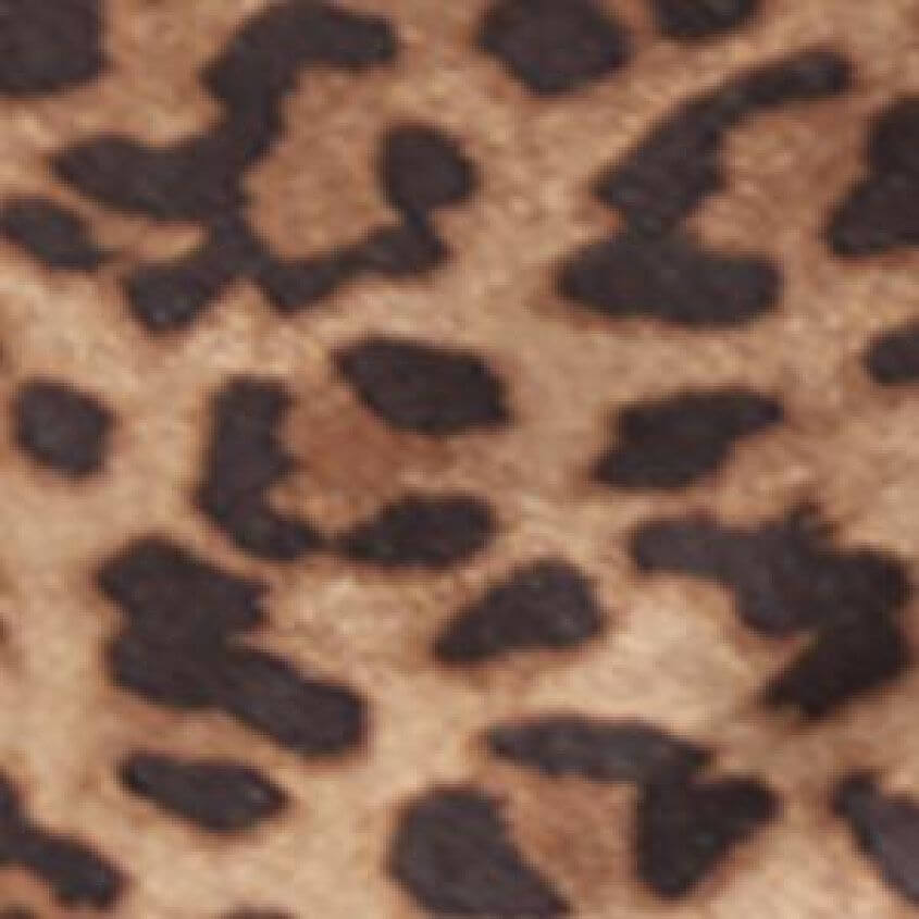 Camel Leopard