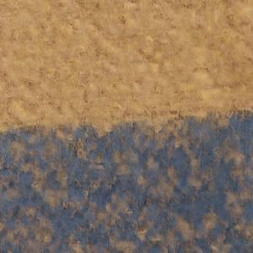 Camel Navy
