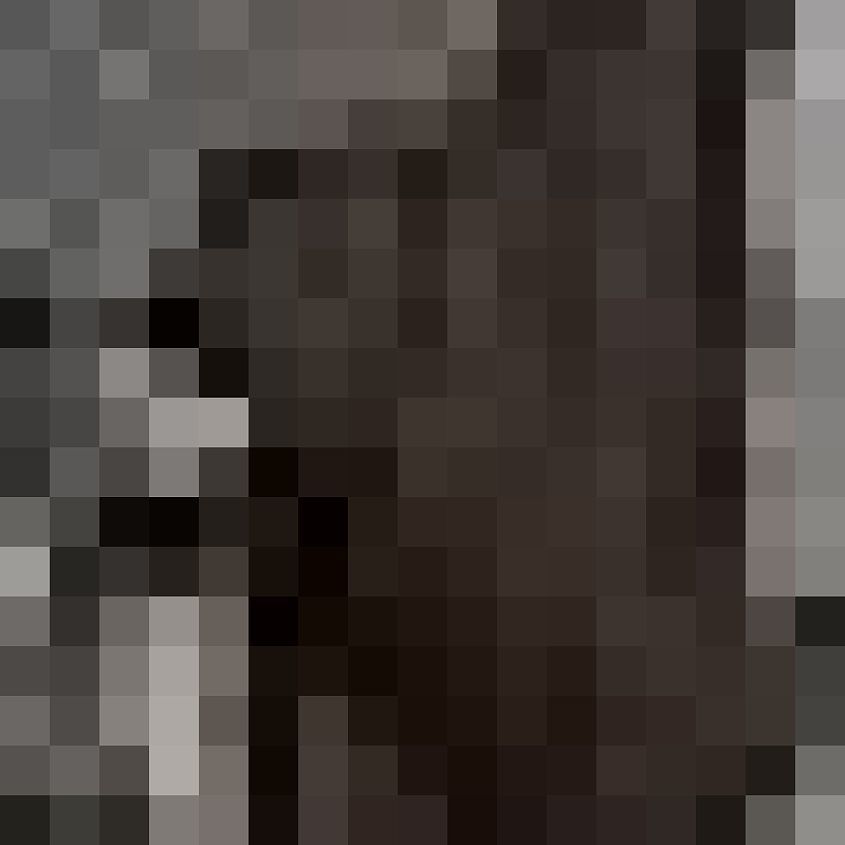 Black Camo