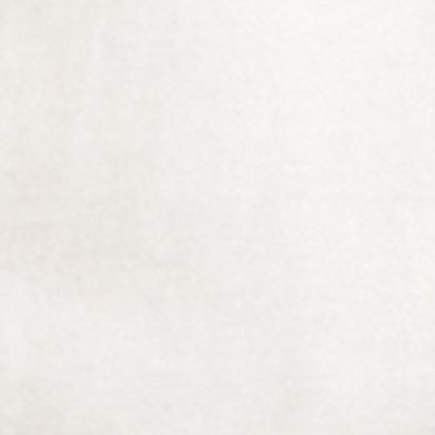 Optic White
