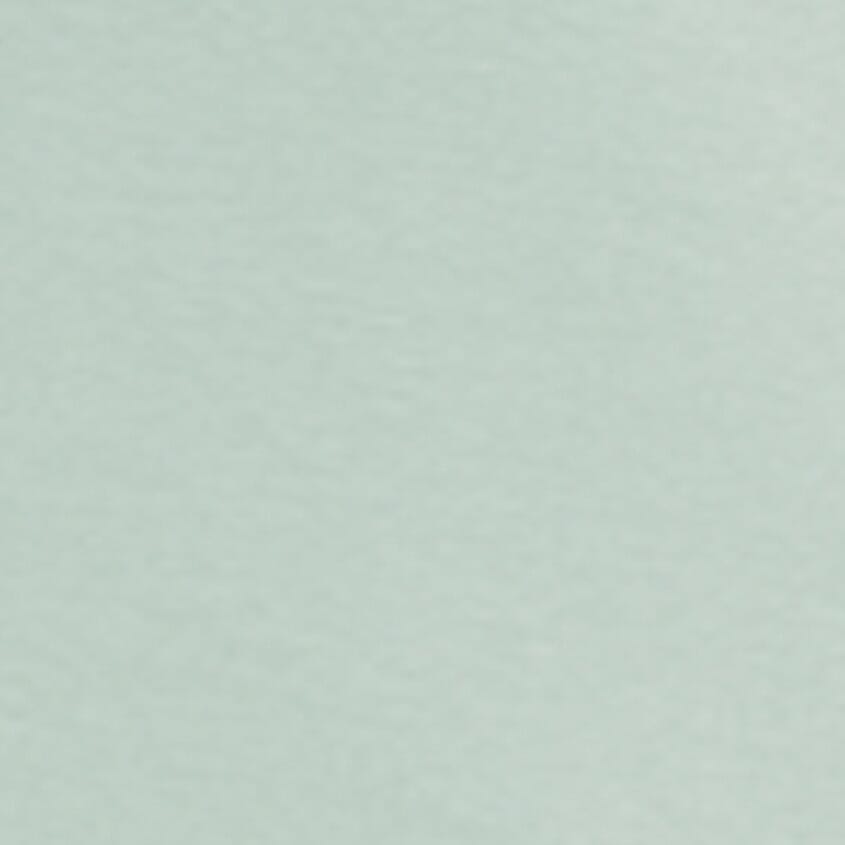 Ice Mint