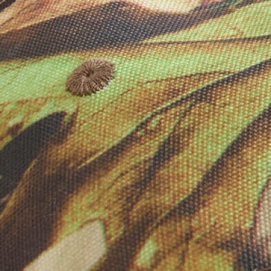 Camo