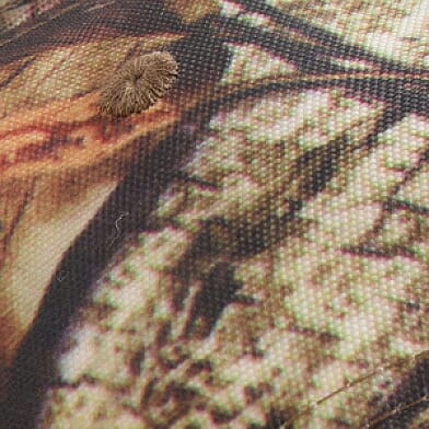 Camo