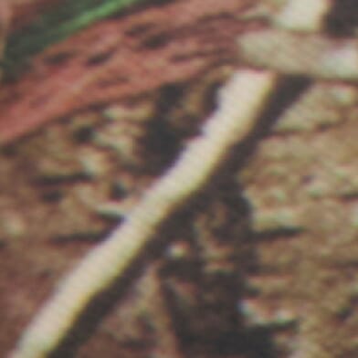 Camo
