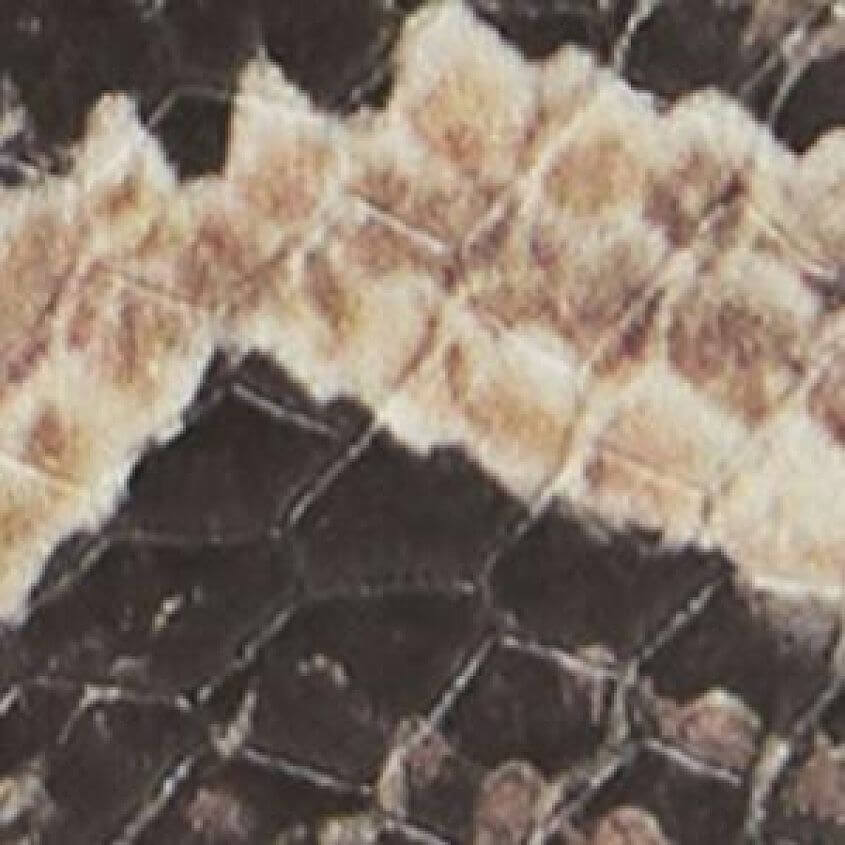 Pale Pink Snake