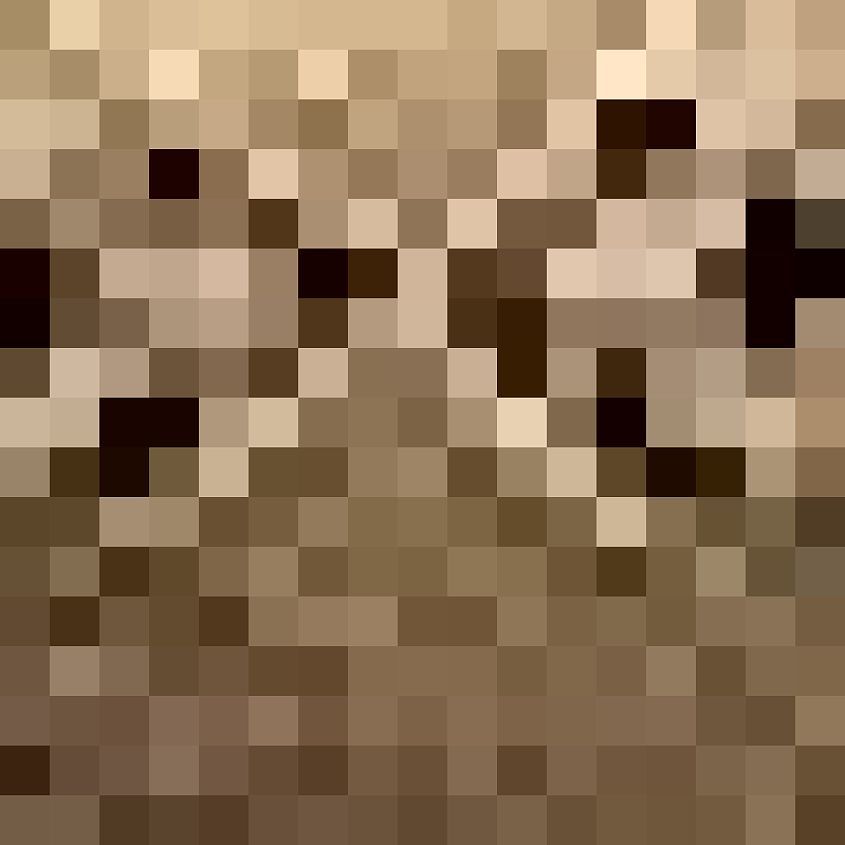 Tan Navy