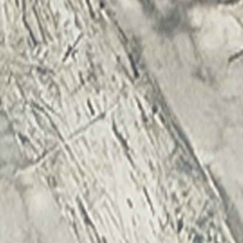 Camo Print