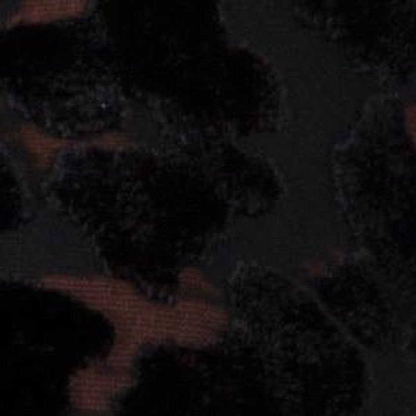 Jet Black Multi