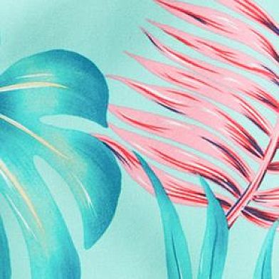 Tropical Mist