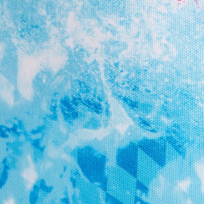 Graphic Shark
