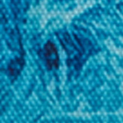 Skeleton