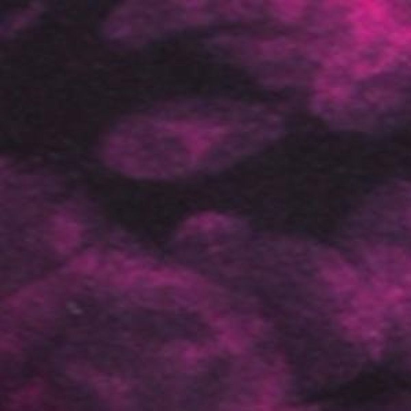 Galaxy Dye Fntstc Fuchsia