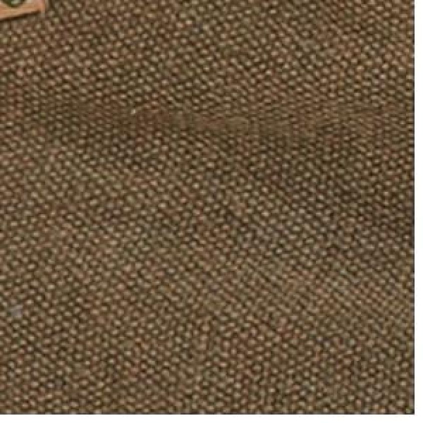 Olive Dye Wash Canvas