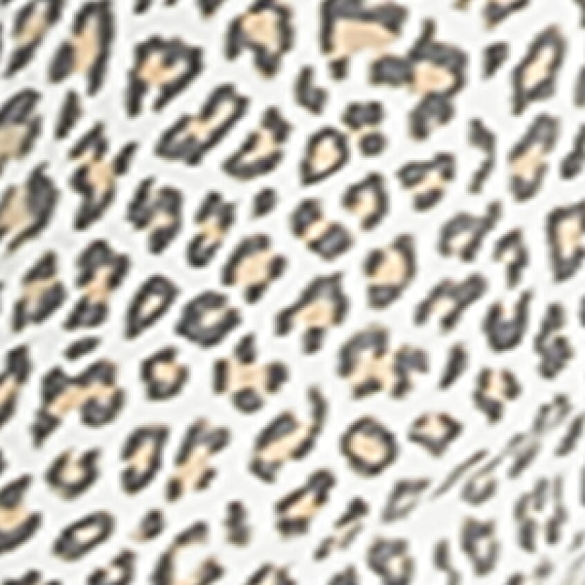 White Cheetah