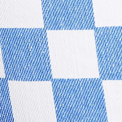 Blue Checker