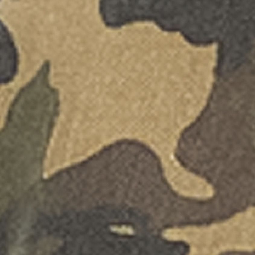 Camo