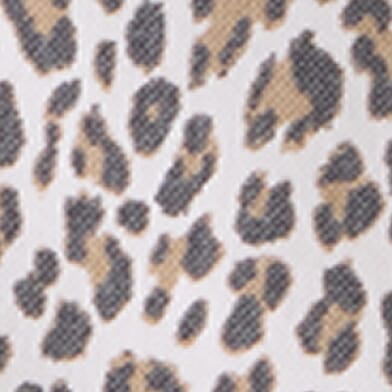 White Cheetah