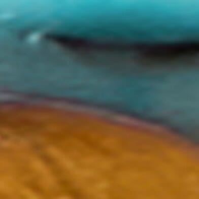 Turquoise Brown