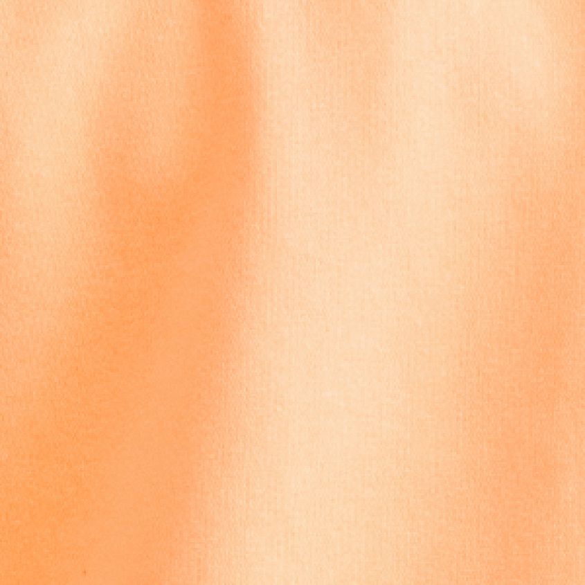 Cantaloupe