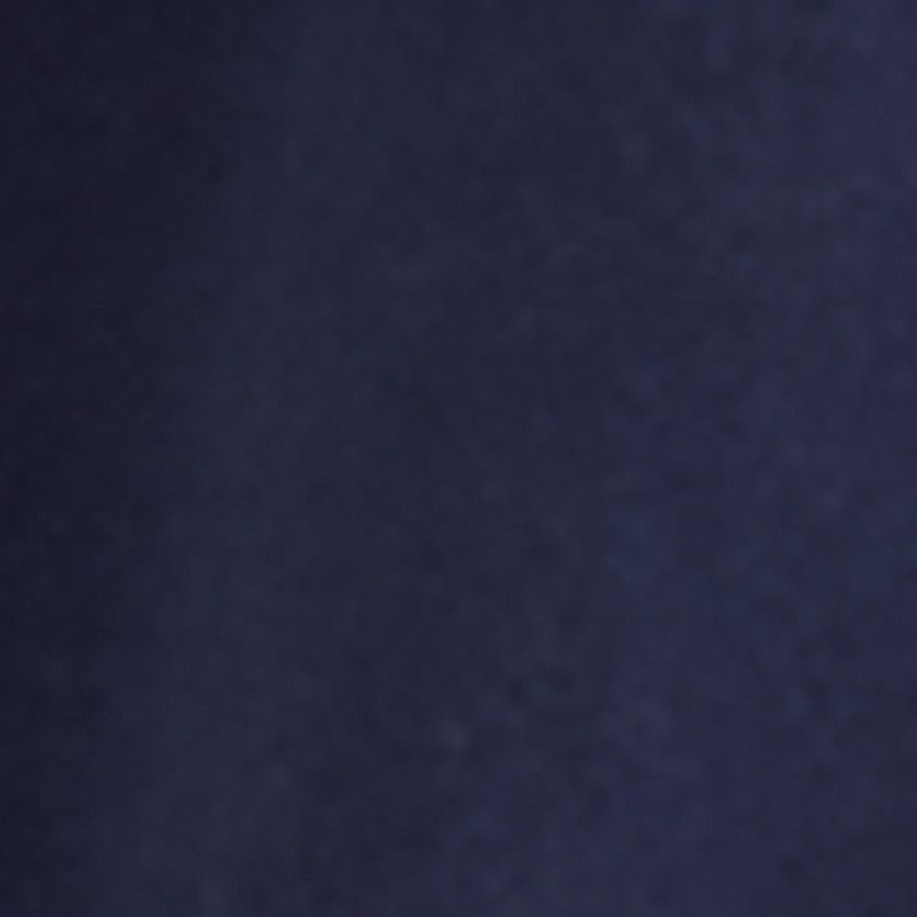 Patriot Blue