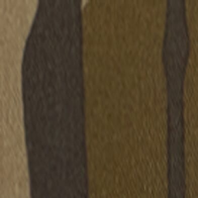 Bottomland