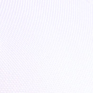 White Navy
